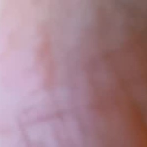 pircedarab1993