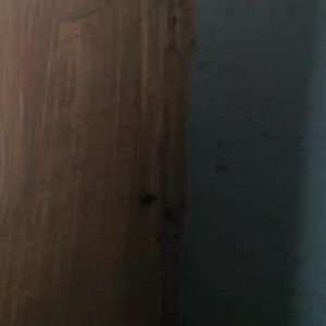 pussysquirtasian