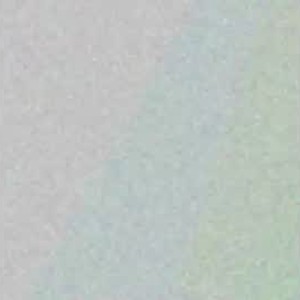 Cam boy rollinfog