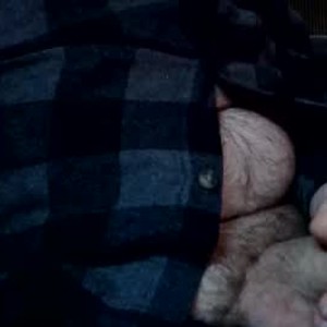 schnookbear
