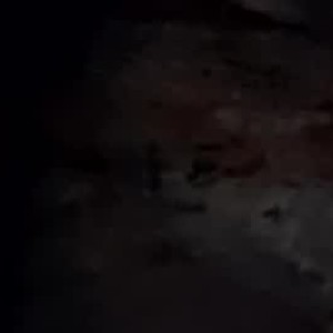 seanhagen9