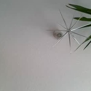 Cam boy secretsuppor