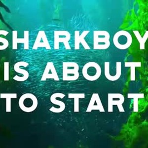 Cam boy sharkboybussy