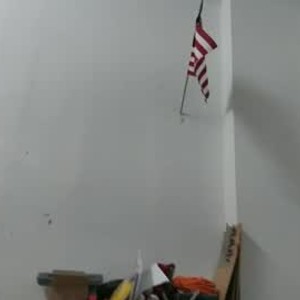 Cam boy sig1515