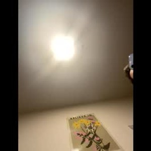 sexcams-joy.com sluttykitty1234 livesex profile in goa cams