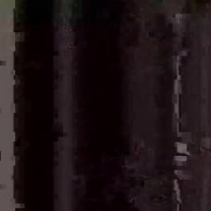 sophiaburton's profile picture