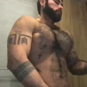 spartan_bear