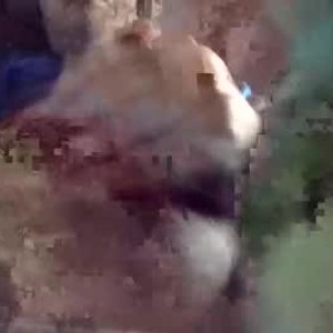 Cam boy suckmydick_7019