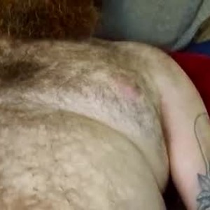 thickhog258427