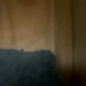 thisispamelamonroe