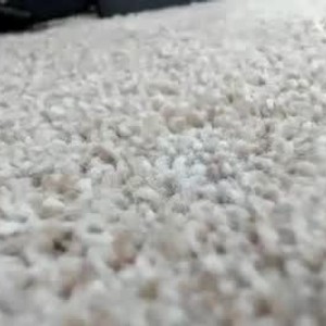 Cam boy tokencommunity69