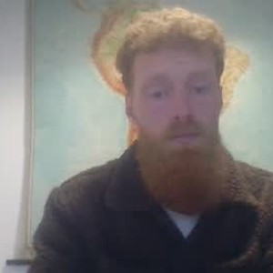 vikinggingerr