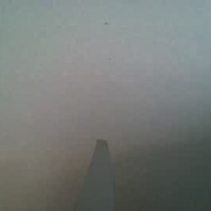 viktoriavika's profile picture