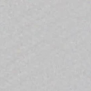 rudecam.live viviana2400 livesex profile in lush cams