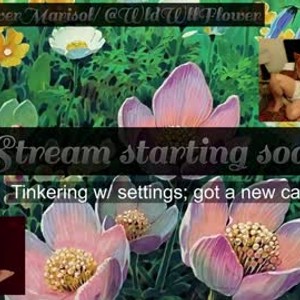 iluvcams.com wallflowermarisol livesex profile in pregnant cams