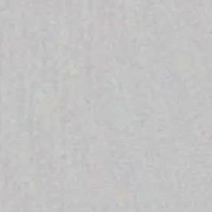 chaturbate xx_tammy_xx webcam profile pic via pornsexycams.com