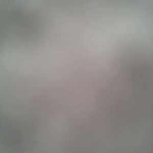 chaturbate yarathompson webcam profile pic via sexcityguide.com
