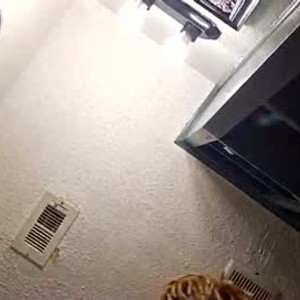 Cam boy yo10181