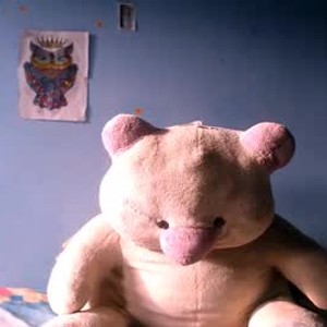 Cam boy zeusdelasso