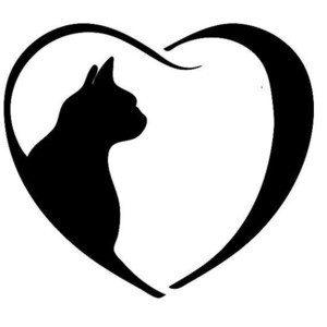 mfc MsSultryKate webcam profile pic via sexcityguide.com