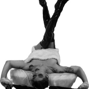 mfc Siren_hush webcam profile pic via myliveeroticcams.com