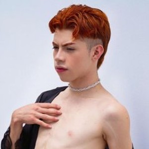 Cam boy Henophidd