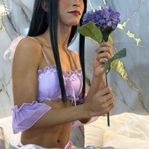 dollestephany