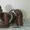Sweetblack_Ebony from stripchat