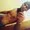 Leo_034 from stripchat
