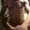 jacok35 from stripchat