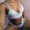 Donzela30 from stripchat