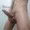 couplesexbigcock from stripchat