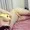 Couple_998 from stripchat