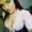 Lorraine_ from stripchat