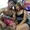 couplebaz from stripchat