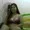 sweetlovelylady from stripchat