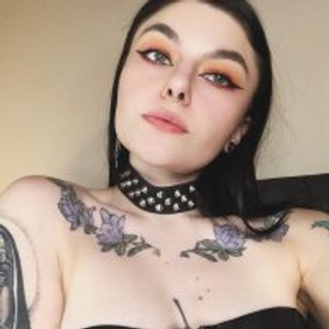 little_kitty9's profile picture