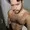 kris_hairypig from stripchat
