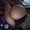 kriss_baby from stripchat