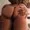 Allison_And-Jasoo from stripchat