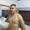 antony-rossi from stripchat