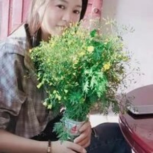 xiao_jiejie's profile picture