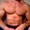 bigmusclestud from stripchat