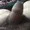 sk3259 from stripchat