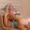 Olivia_Belly from stripchat